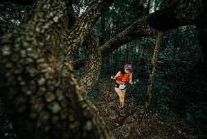 BIB: 
                            <button type="button" onclick="openModal(25695610)" class="btn btn-primary btn-sm float-right btn-popup" data-toggle="modal" data-target=".modal-high-quality">
                        <i class="fas fa-shopping-cart"></i> Add to Cart
                    </button>
                                            <button type="button" onclick="isThisMe(25695610, true)" class="btn btn-success btn-sm float-right btn-popup btn-isme hidden" data-toggle="tooltip" data-placement="bottom" title="นี่คือรูปของคุณใช่ไหม คลิกที่นี่เพื่อเอาเข้าอัลบั้ม">
                        <i class="fas fa-plus"></i> Add to album
                    </button>
                    <button type="button" onclick="isThisMe(25695610, false)" class="btn btn-warning btn-sm float-right btn-popup btn-isnotme hidden">
                        <i class="fas fa-ban"></i> Remove from album
                    </button>